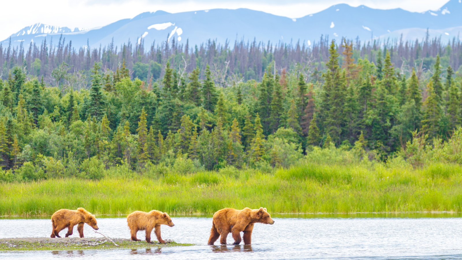 How to Get to Katmai National Park From Homer, Alaska - Land's End